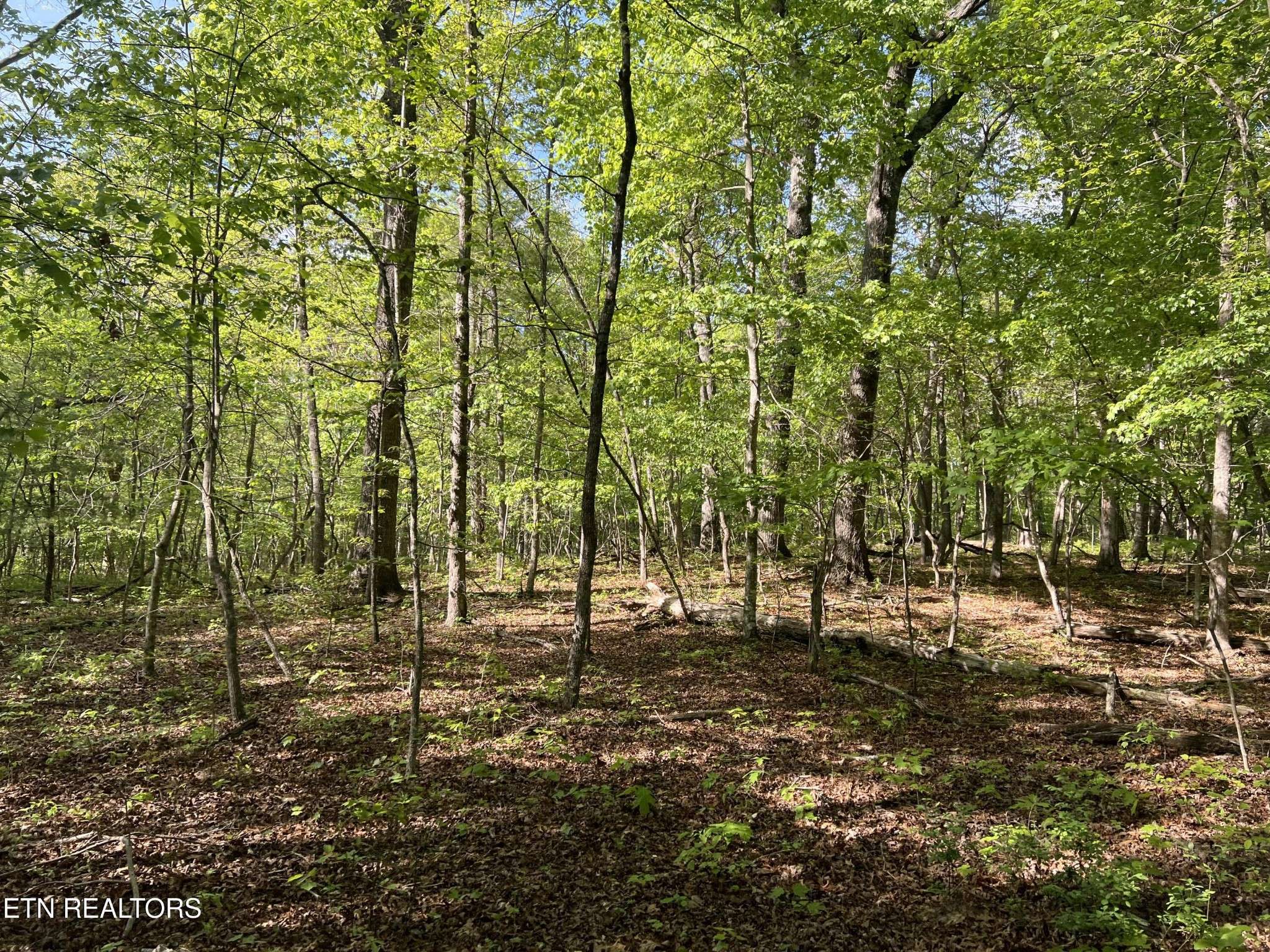 328 Peavine Firetower Rd, Crossville, TN 38571