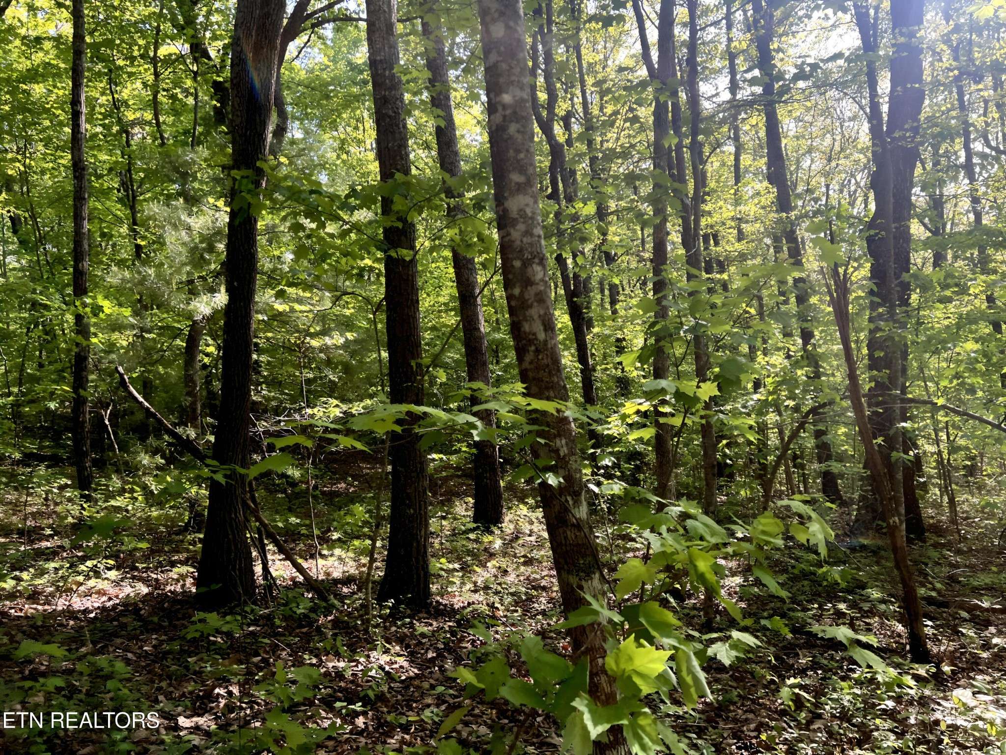 328 Peavine Firetower Rd, Crossville, TN 38571