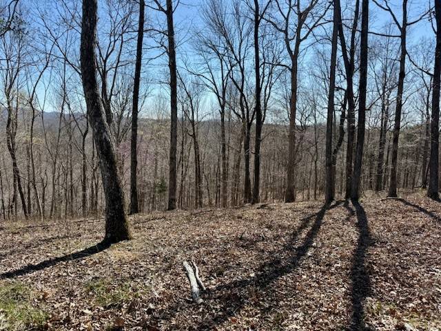 31C Rock Fish Rd, Hilham, TN 38568