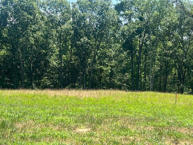 9 Summer Lake Ct, Winchester, TN 37398