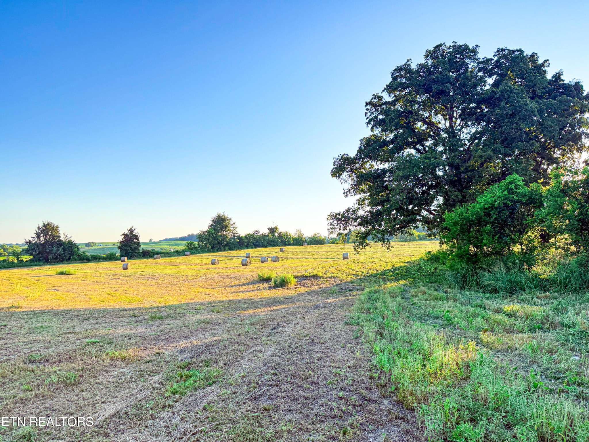 0 Lot 19 Summerset Drive, Talbott, TN 37877