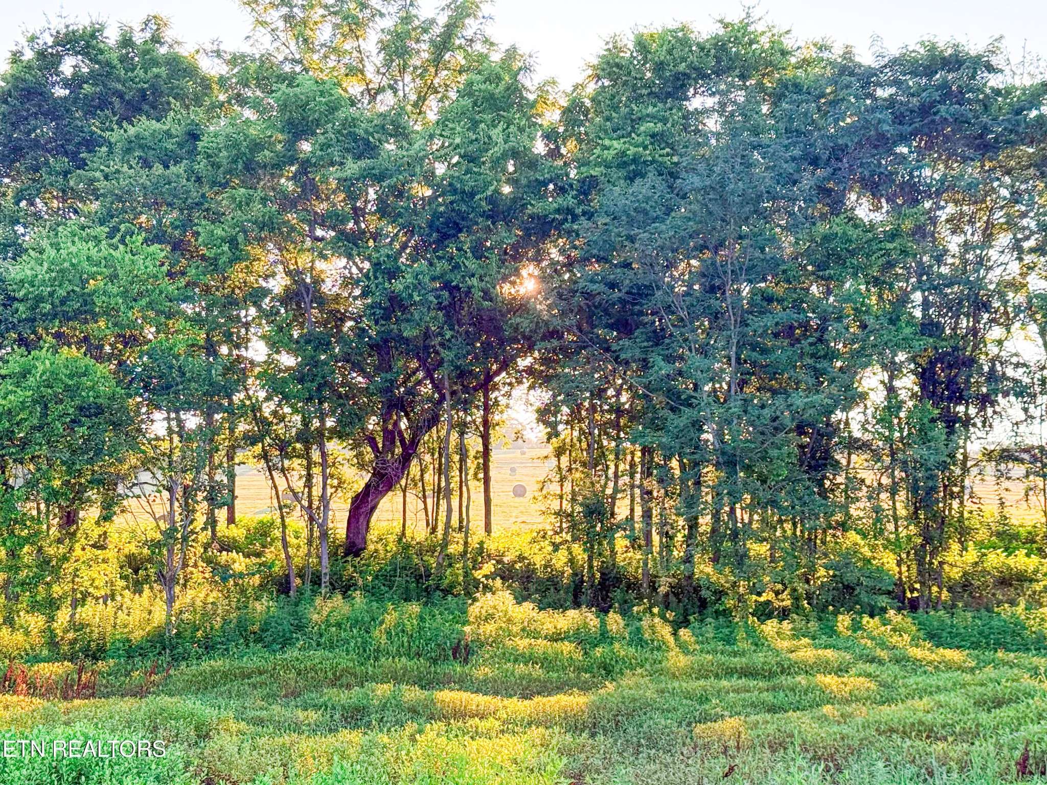 0 Lot 19 Summerset Drive, Talbott, TN 37877