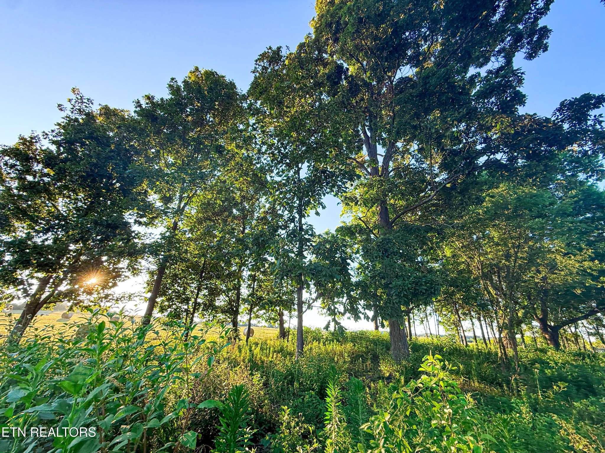 0 Lot 19 Summerset Drive, Talbott, TN 37877