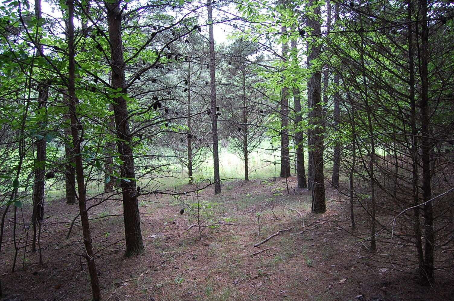 36 Stone Creek Trail, Dunlap, TN 37327