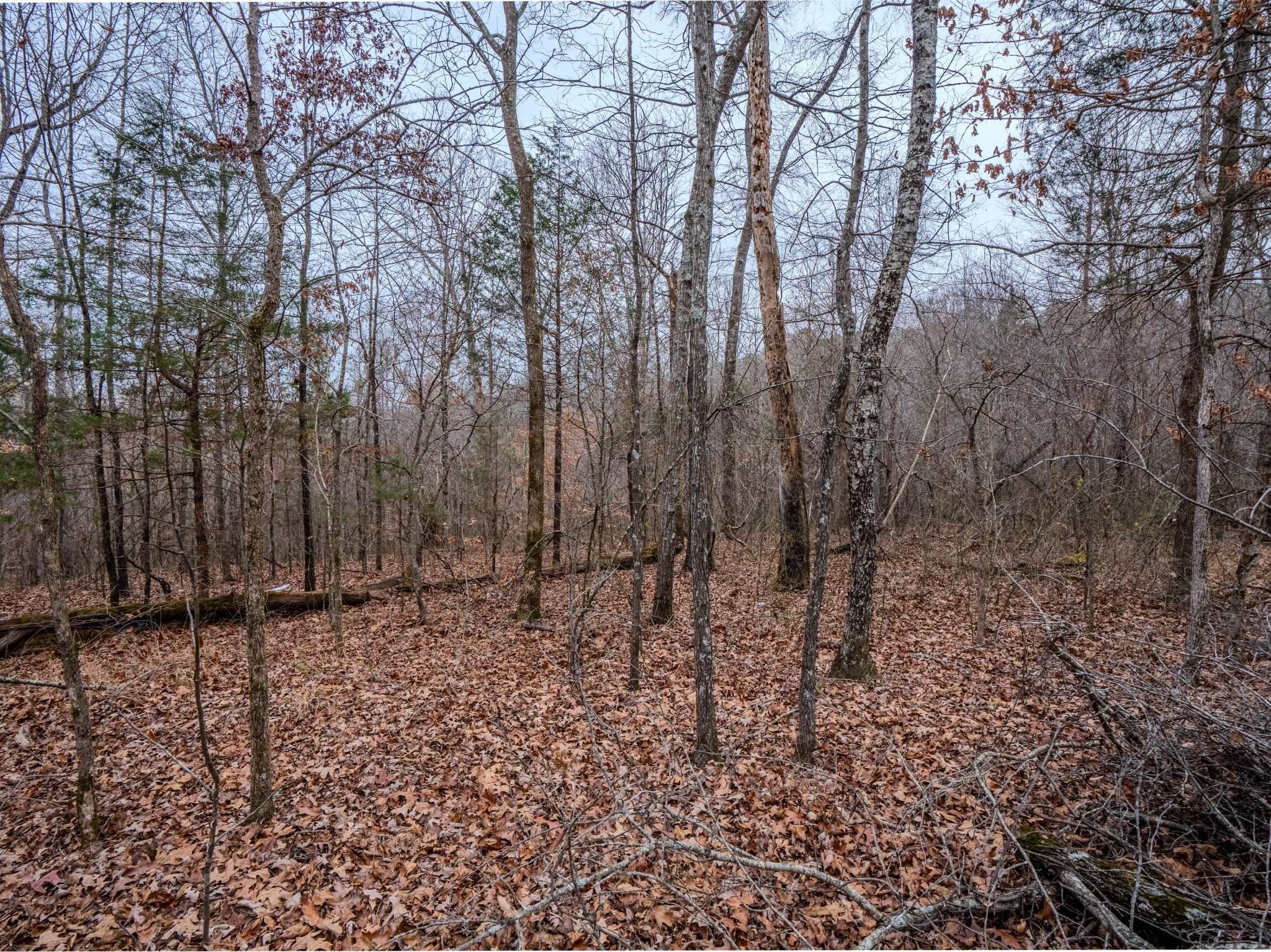 366 Ridge Rd, Westpoint, TN 38486