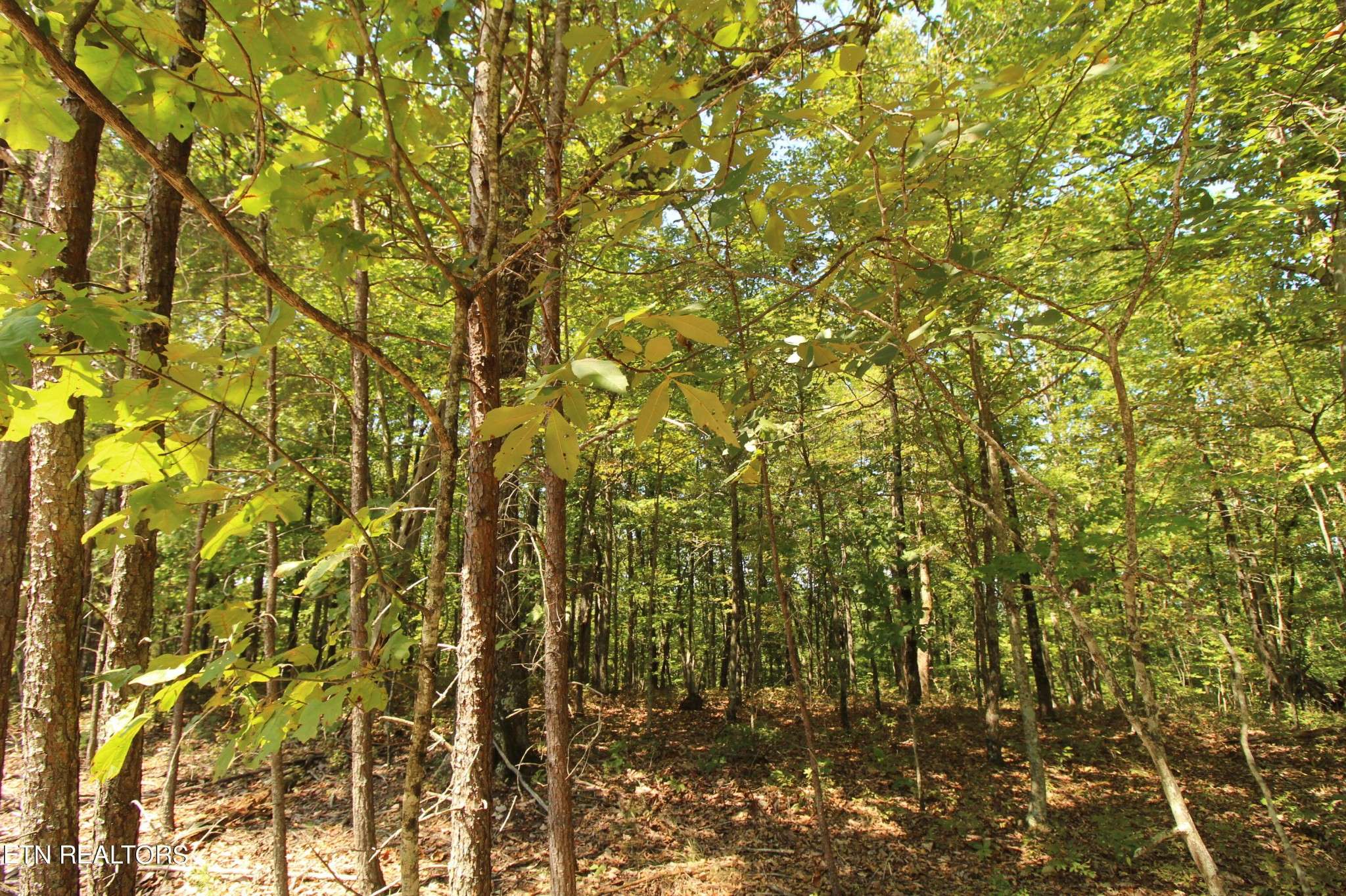 323 Rotherham Drive, Crossville, TN 38558