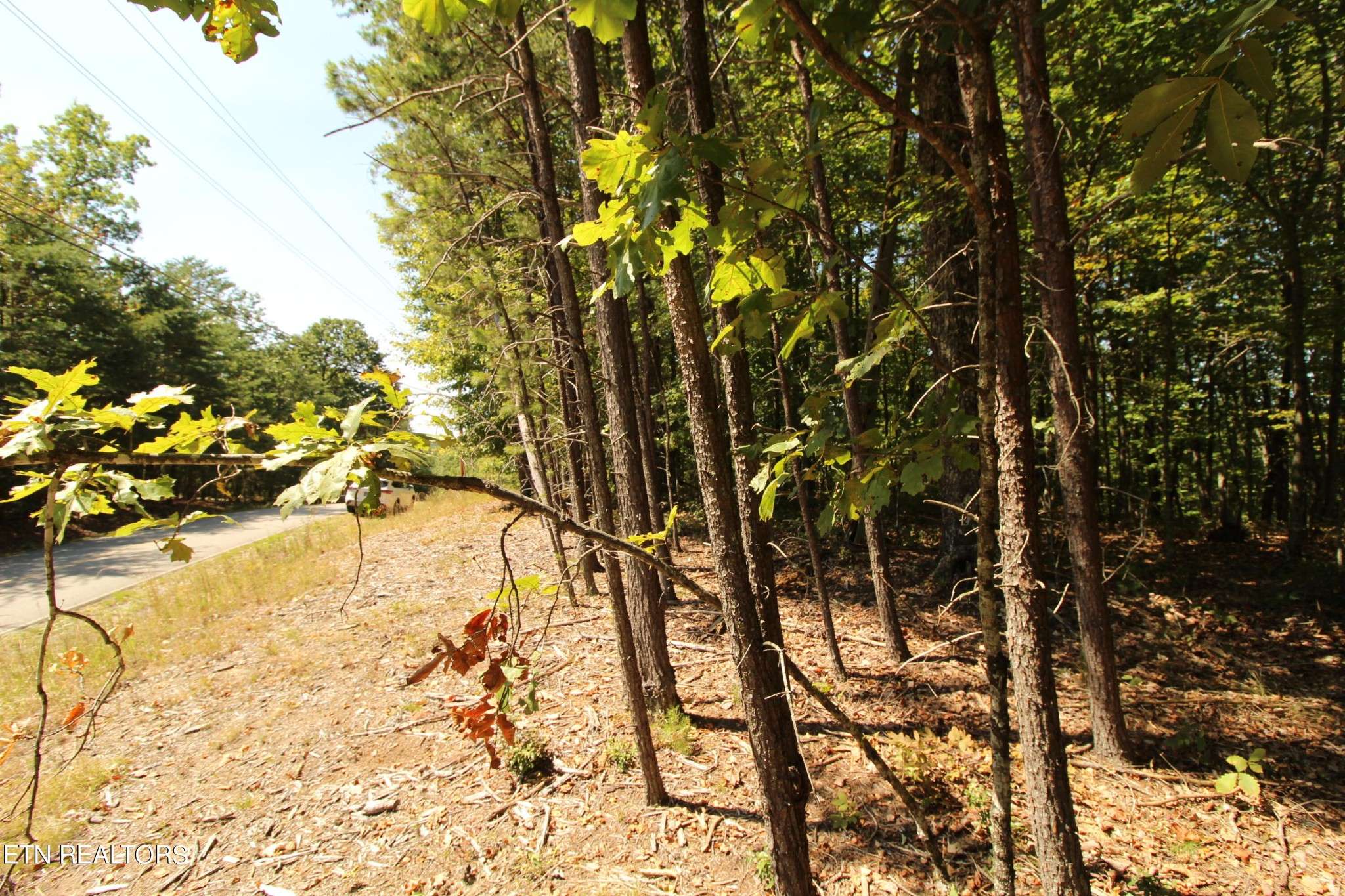 323 Rotherham Drive, Crossville, TN 38558