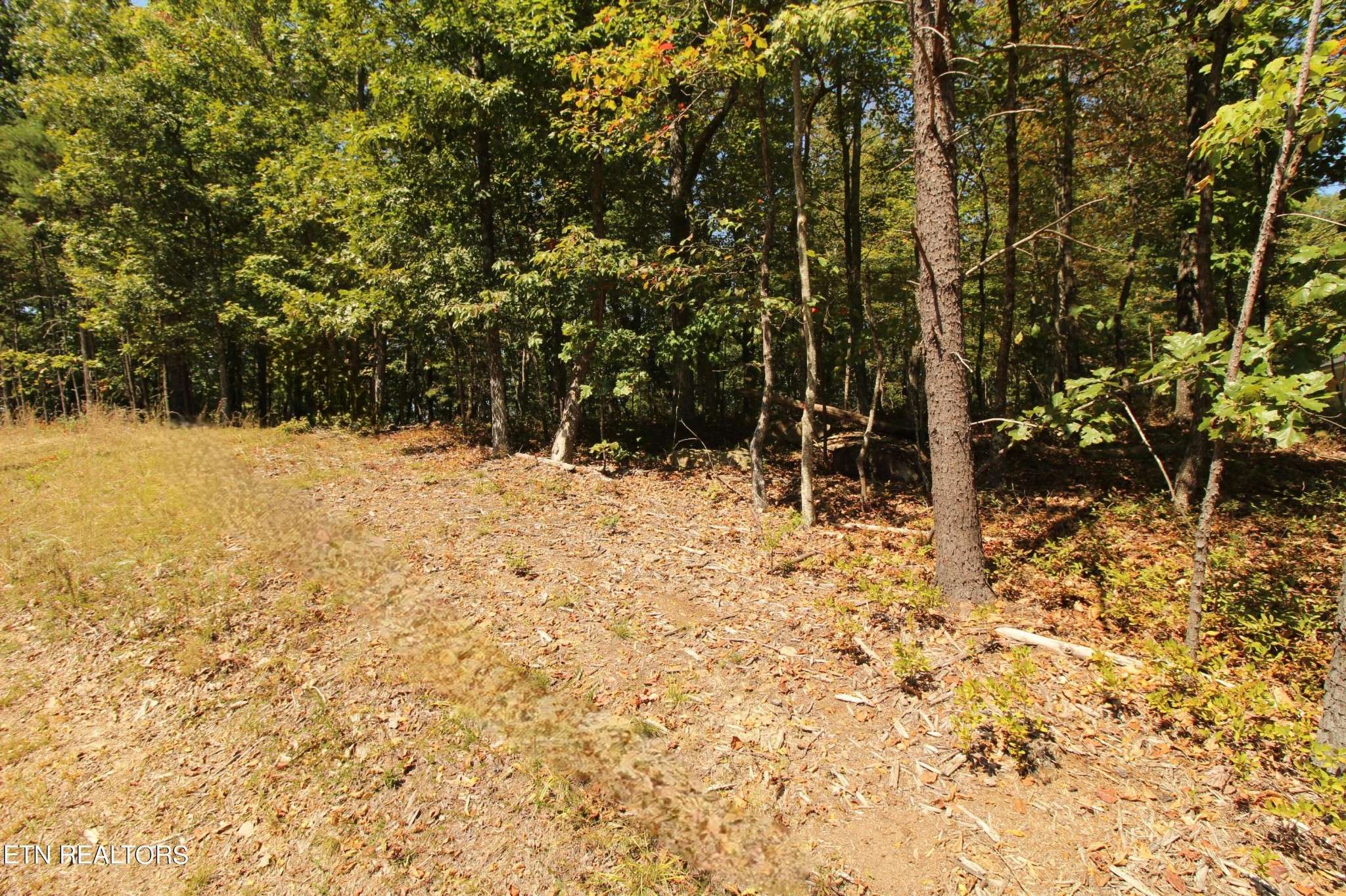 323 Rotherham Drive, Crossville, TN 38558