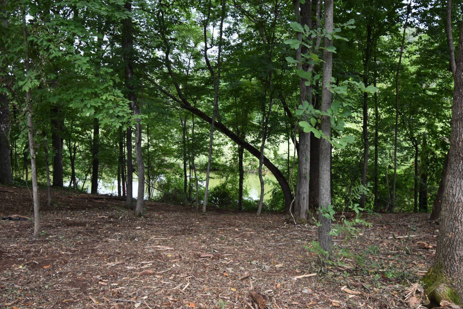 0 S College St, Winchester, TN 37398