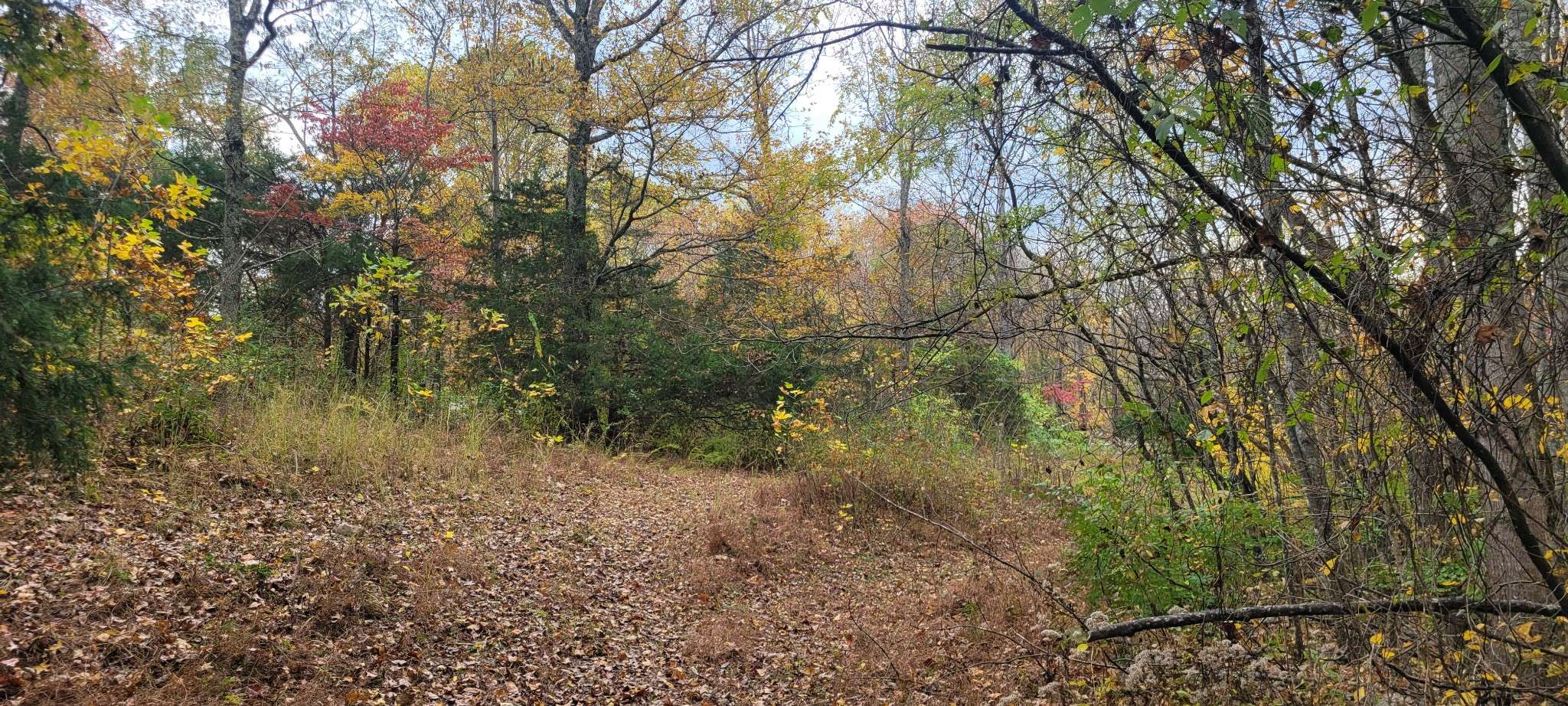 1 Sugar Ridge Rd, Spring Hill, TN 37174