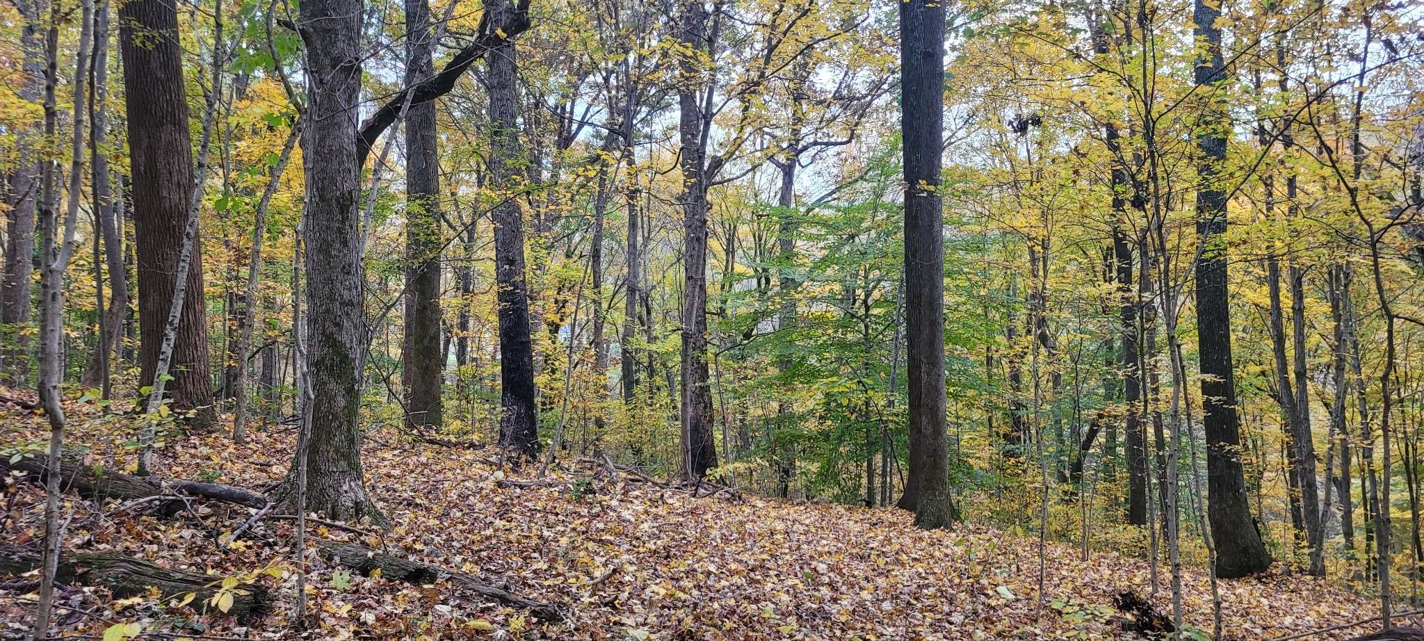 1 Sugar Ridge Rd, Spring Hill, TN 37174