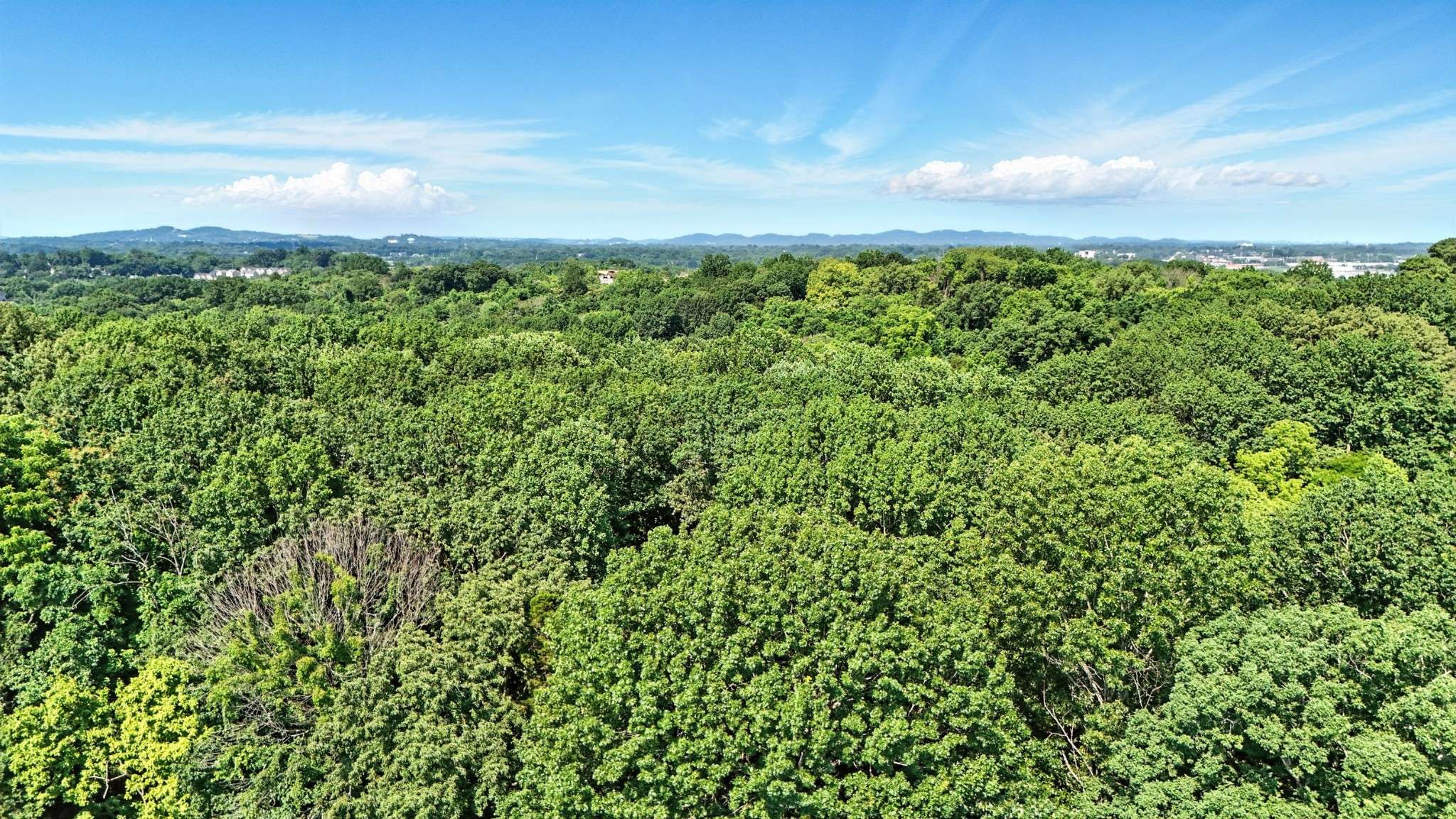 516 Franklin Limestone Rd, Nashville, TN 37217