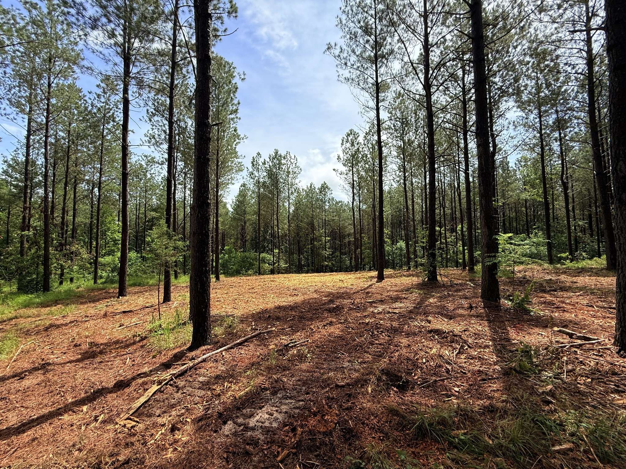 0 Spokelay Rd, Spencer, TN 38585