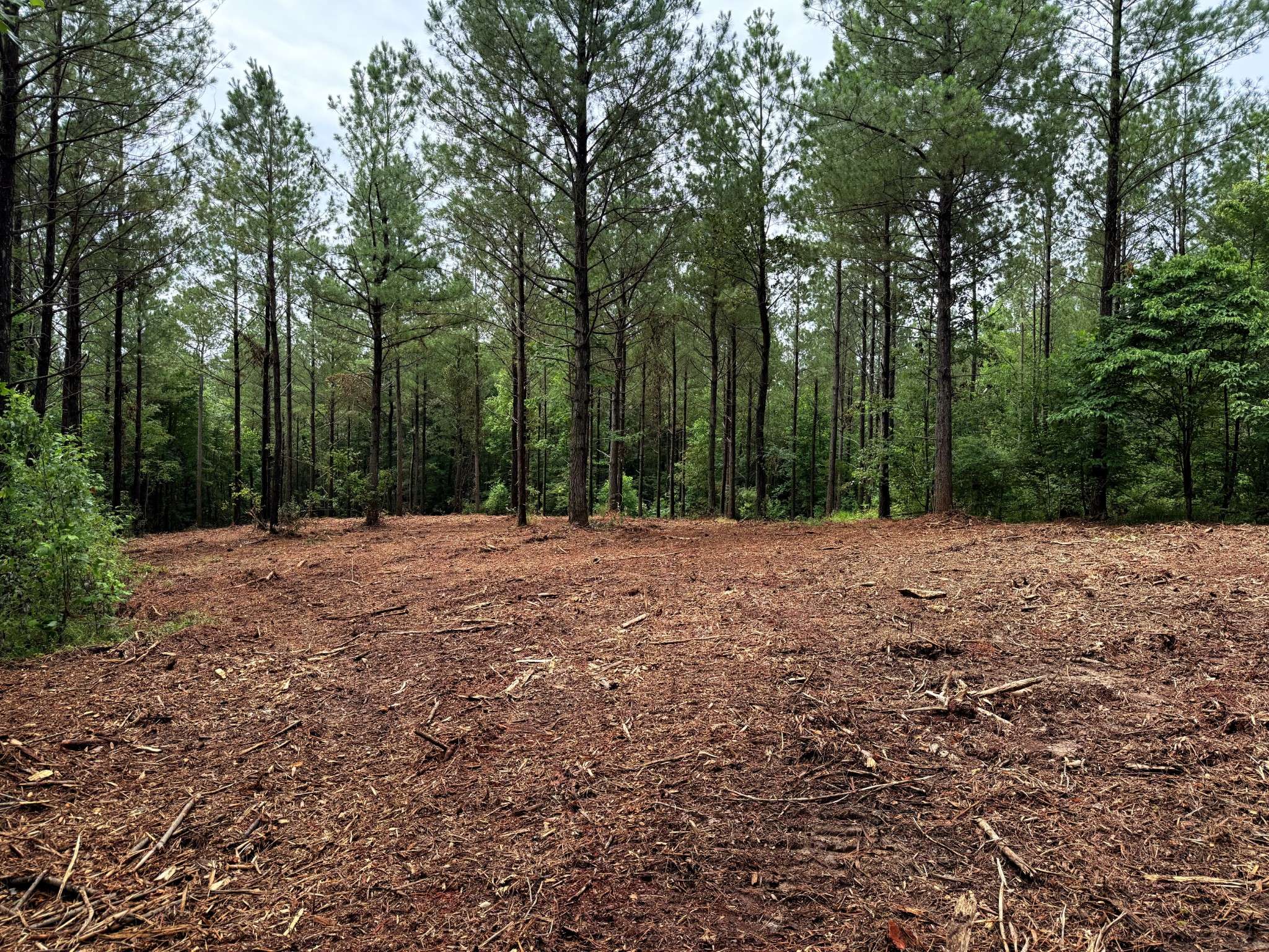 0 Spokelay Rd, Spencer, TN 38585