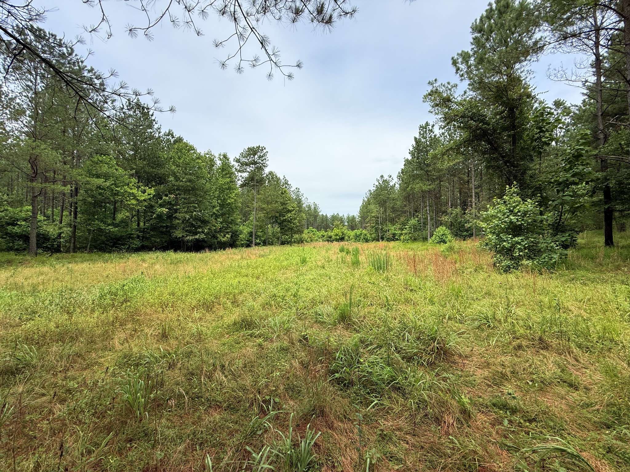 0 Spokelay Rd, Spencer, TN 38585