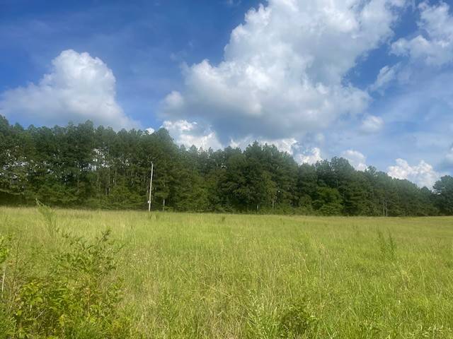 0 Tennessee Ridge Road, Waverly, TN 37185
