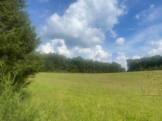 0 Tennessee Ridge Road, Waverly, TN 37185