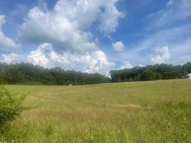 0 Tennessee Ridge Road, Waverly, TN 37185