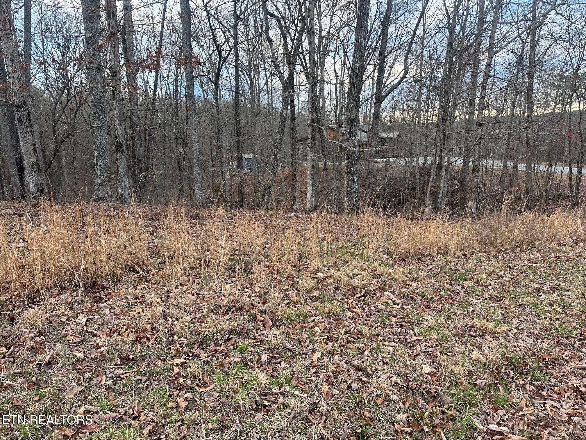 2 Indian Shadows Drive, Ten Mile, TN 37880