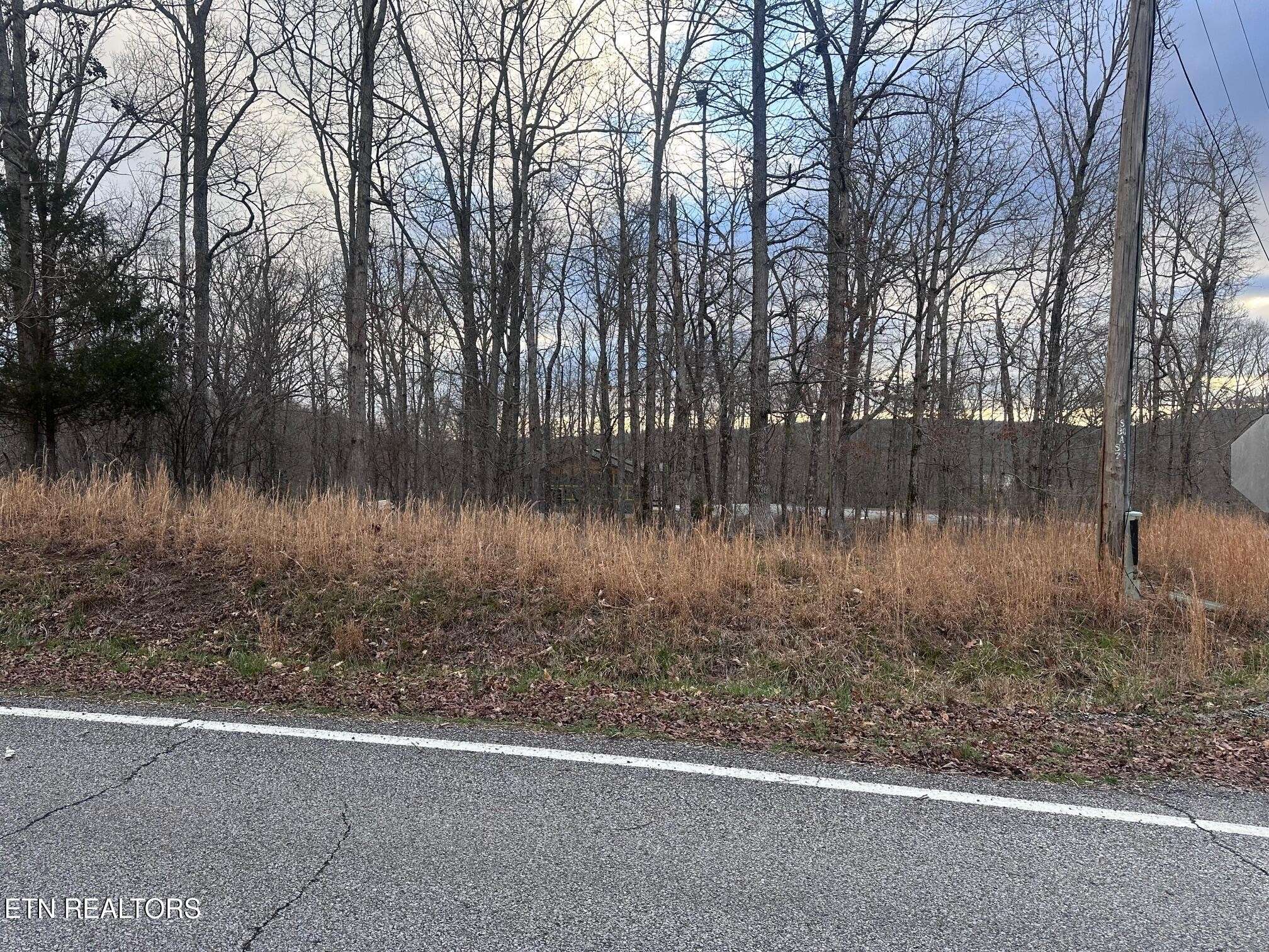 2 Indian Shadows Drive, Ten Mile, TN 37880