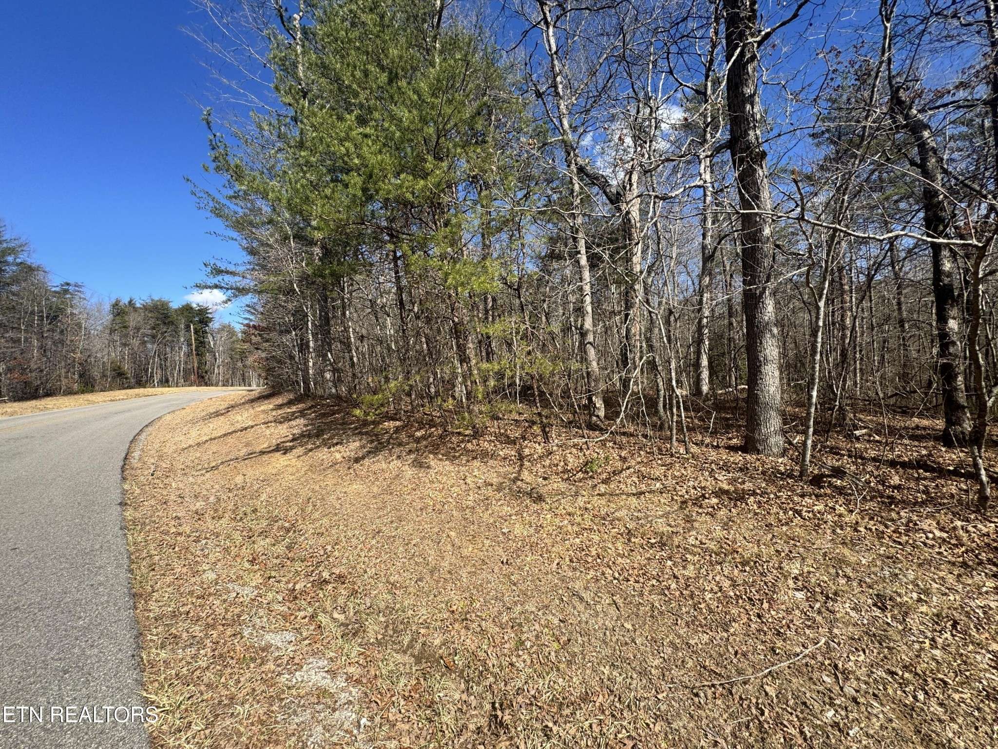 0 Cumberland Lakes Drive, Monterey, TN 38574