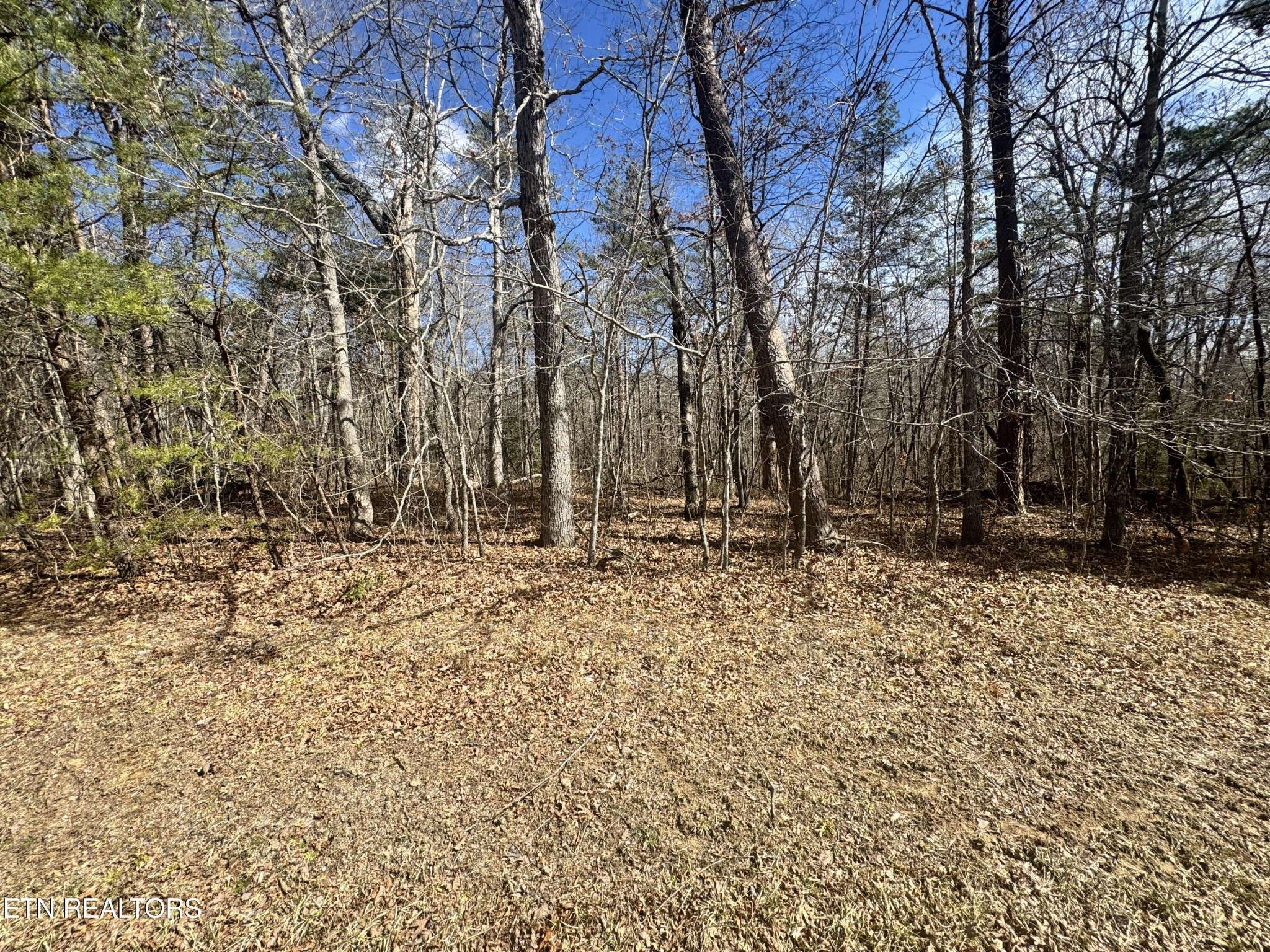 0 Cumberland Lakes Drive, Monterey, TN 38574