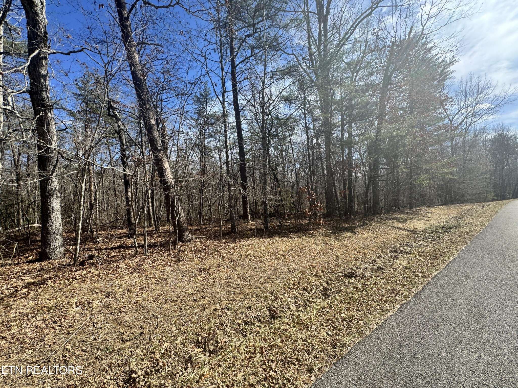 0 Cumberland Lakes Drive, Monterey, TN 38574