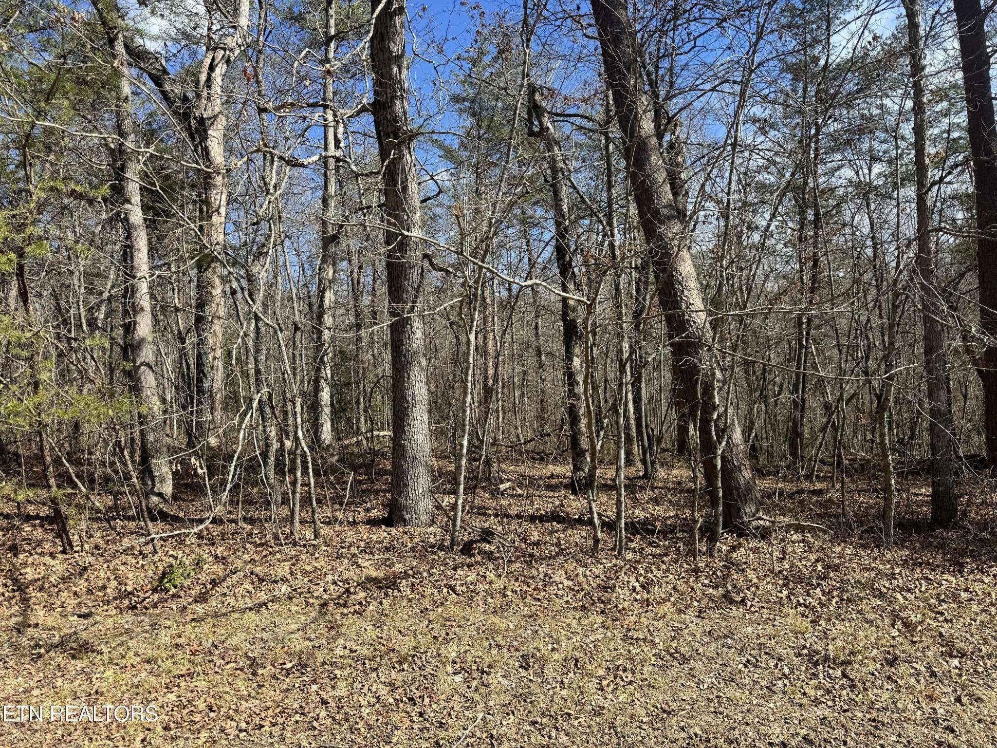 0 Cumberland Lakes Drive, Monterey, TN 38574