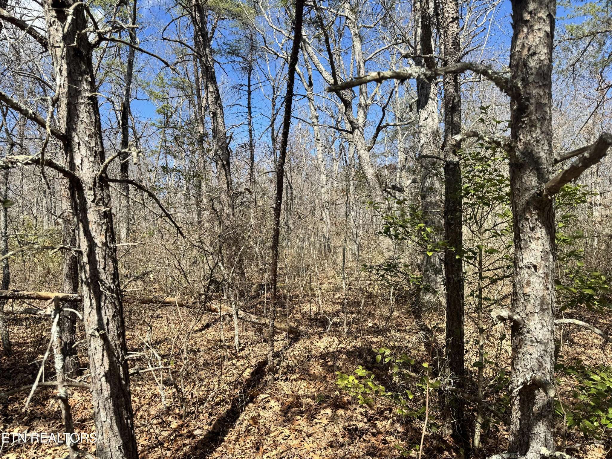 0 Divide Tr, Monterey, TN 38574