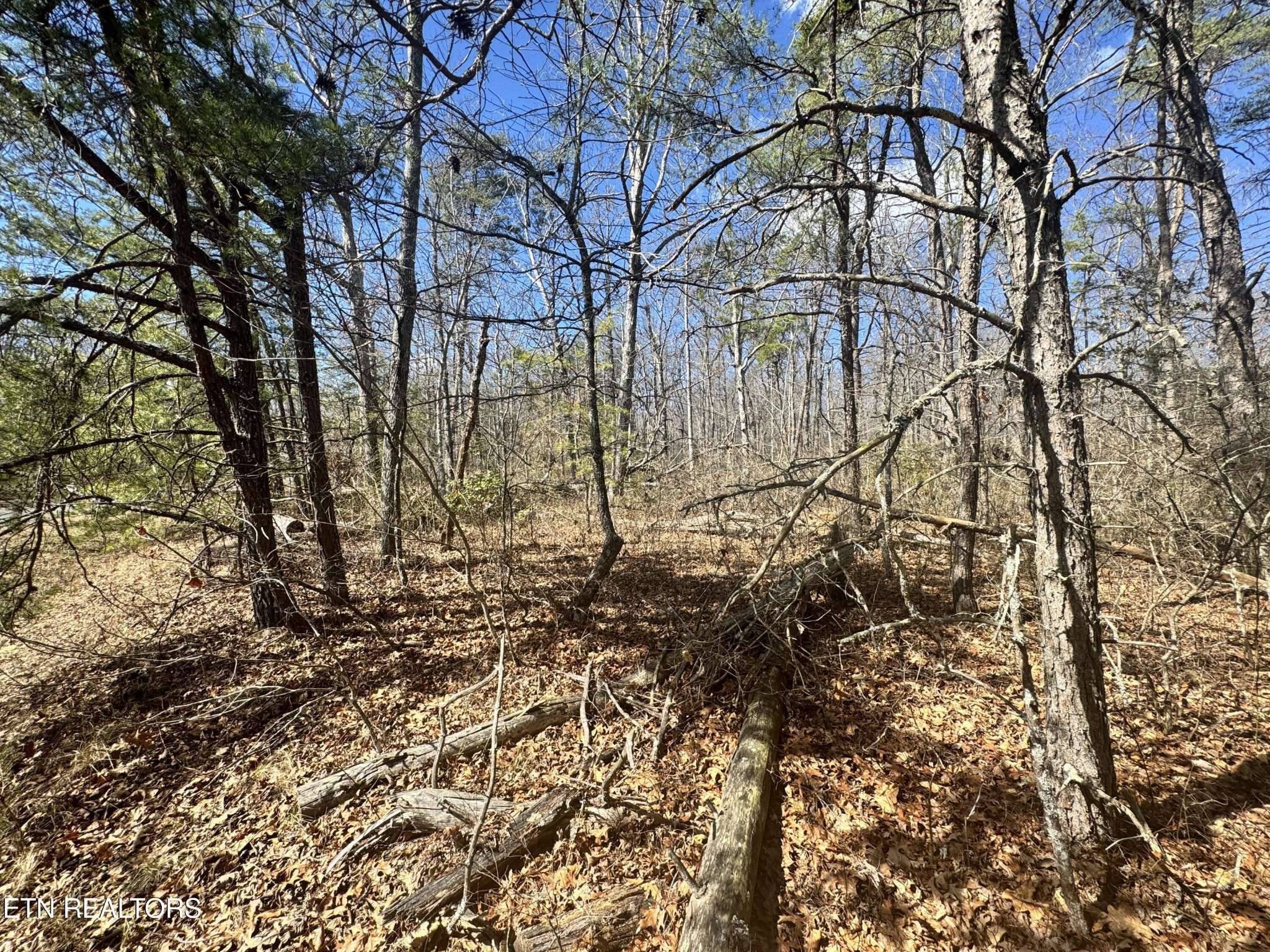 0 Divide Tr, Monterey, TN 38574