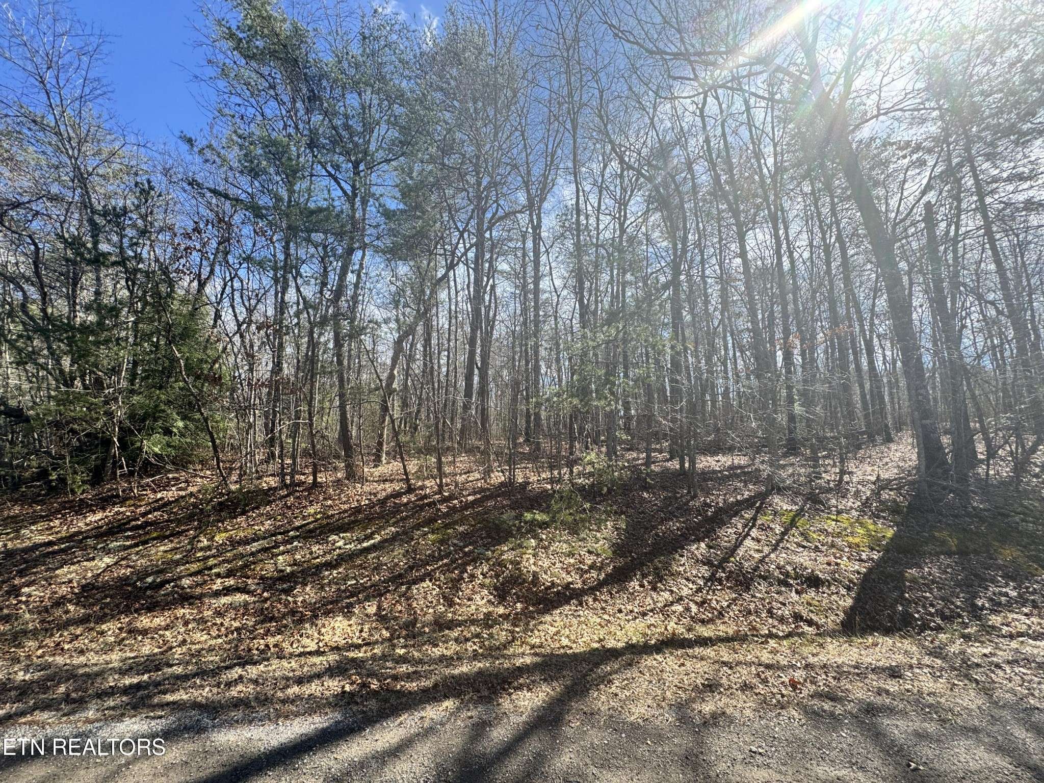 0 N Laurel Loop, Monterey, TN 38574