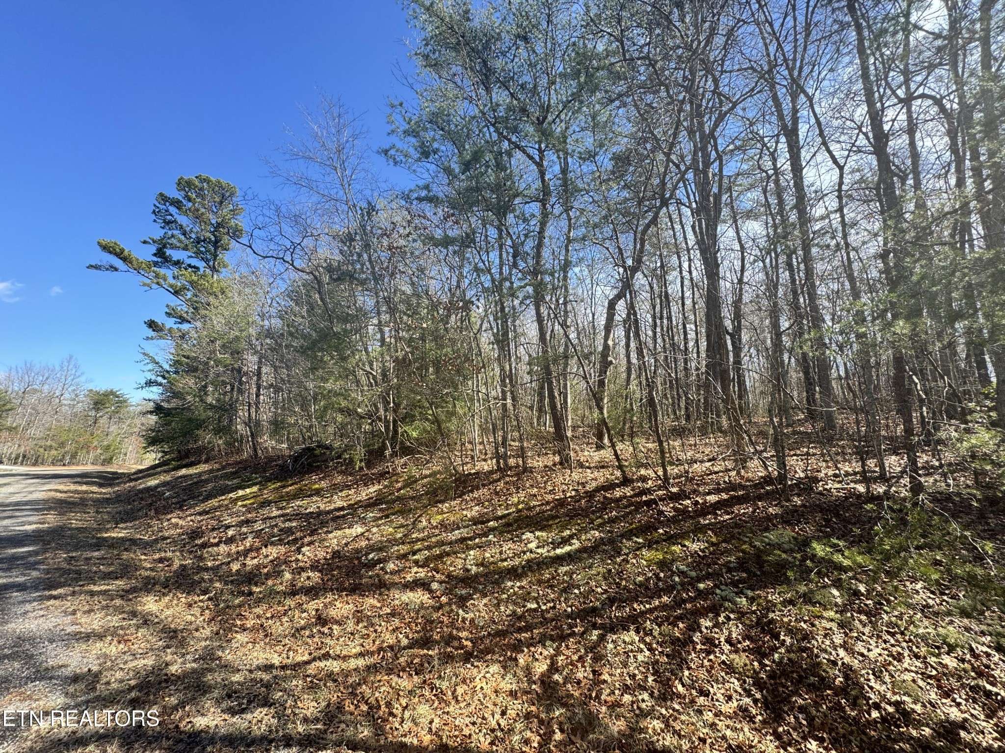 0 N Laurel Loop, Monterey, TN 38574