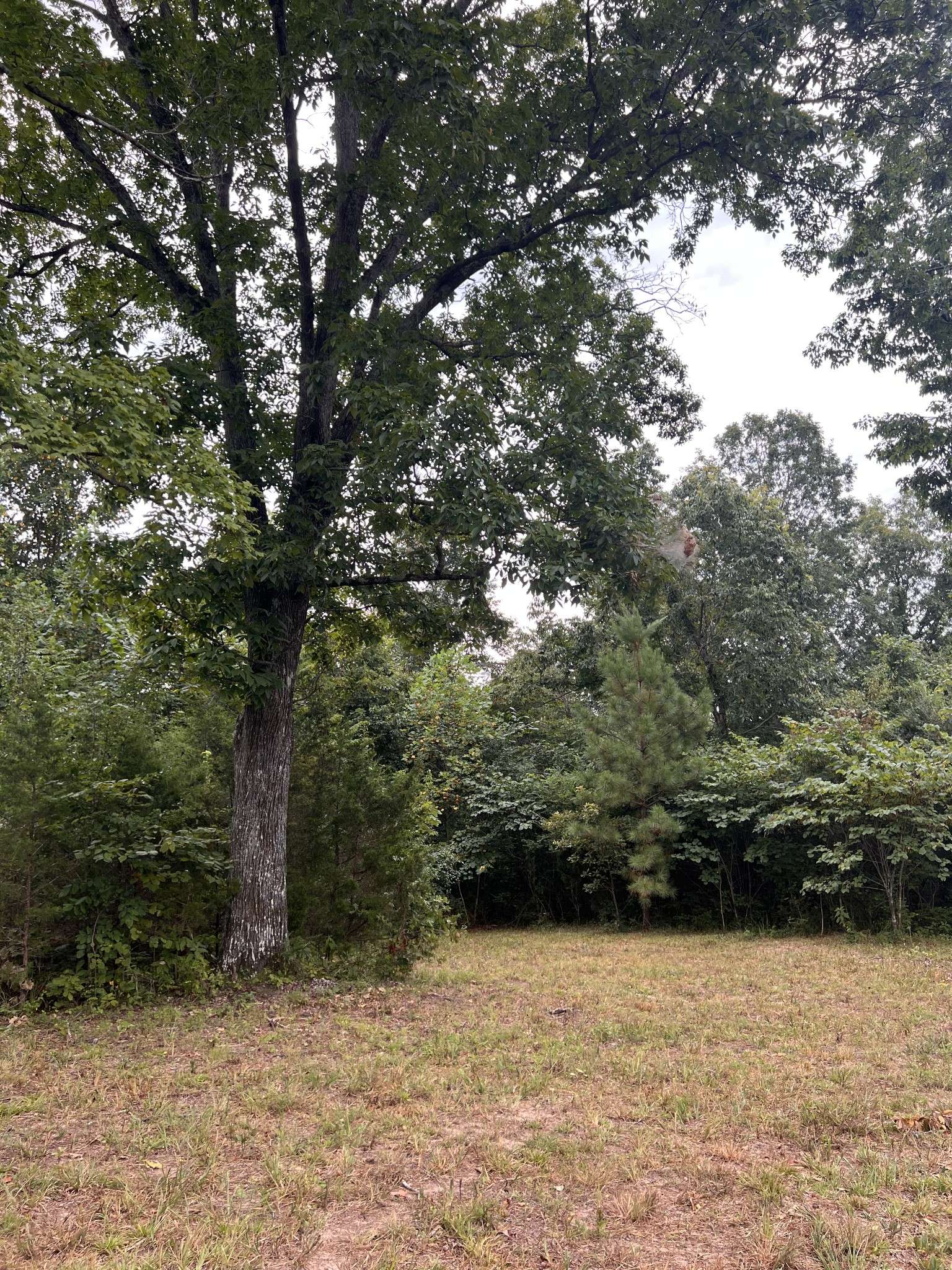0 high Rise Dr, Lyles, TN 37098