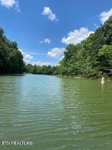 8 Pleasure Rd, Sevierville, TN 37876