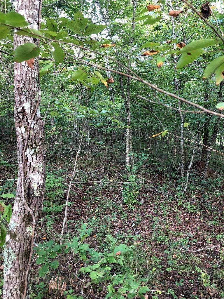 39 Luka Lane, Crossville, TN 38572
