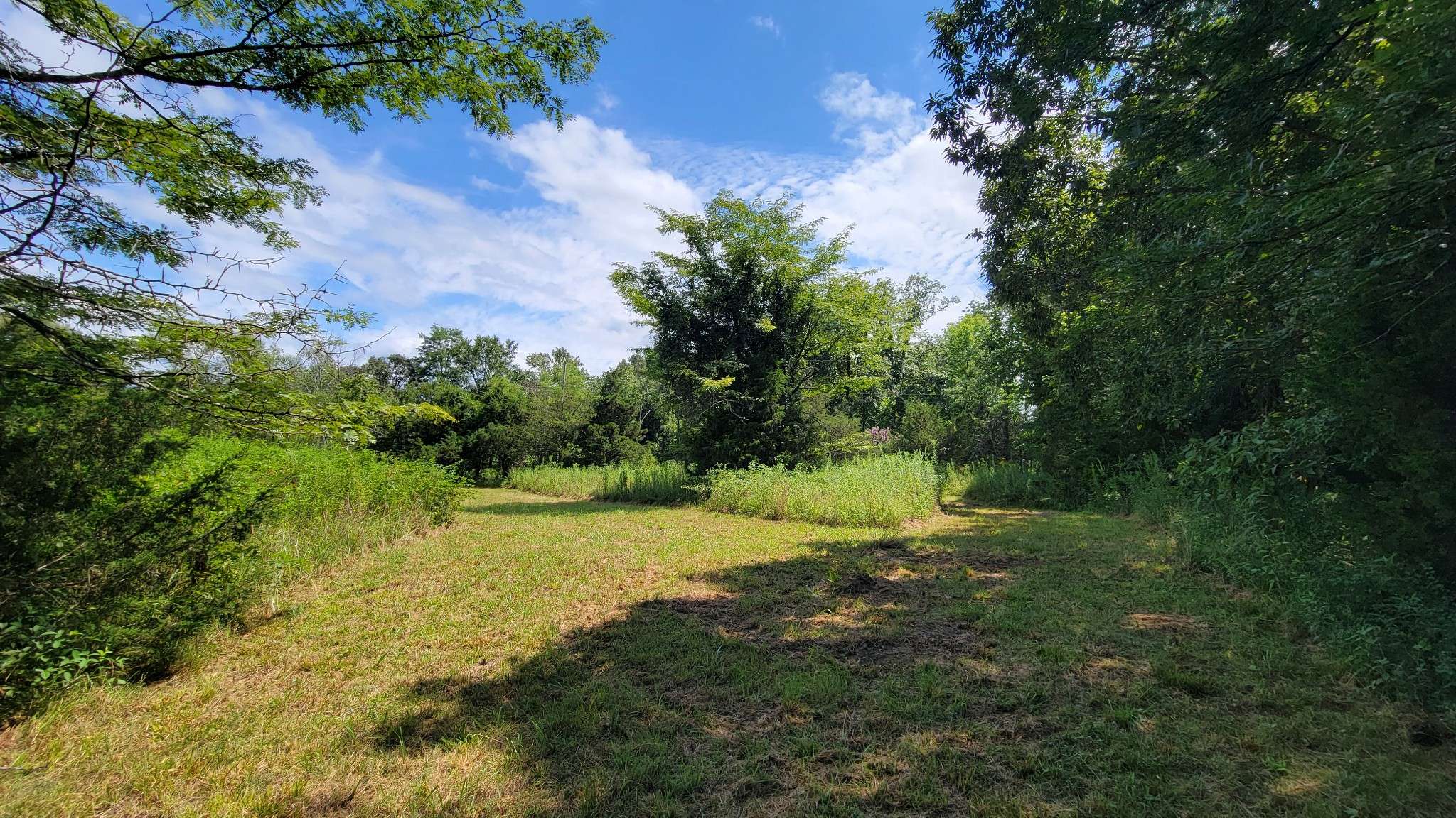 0 Murray Kittrell Rd, Readyville, TN 37149
