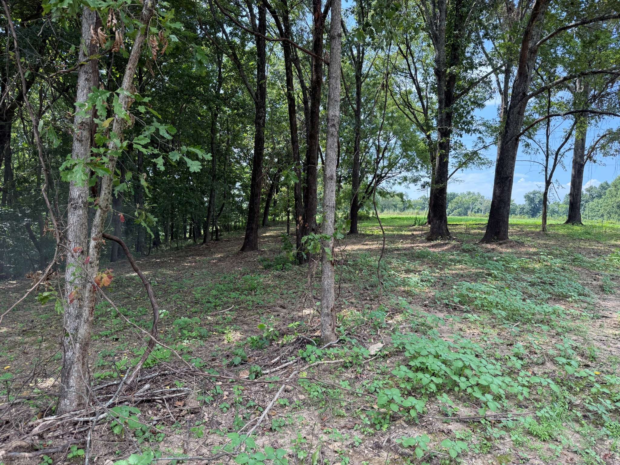 12A Bunker Hill Road, Pulaski, TN 38478
