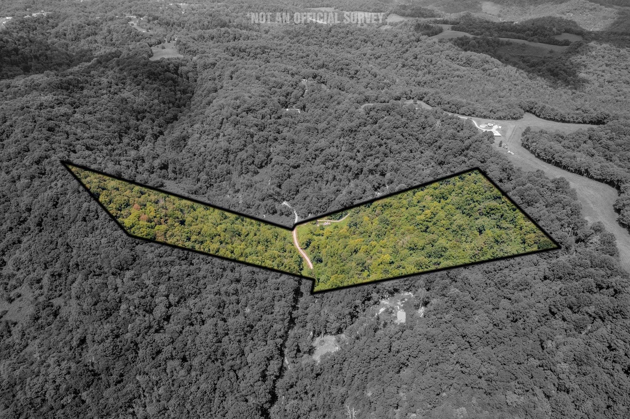 0 Watts Hollow Rd, Buffalo Valley, TN 38548