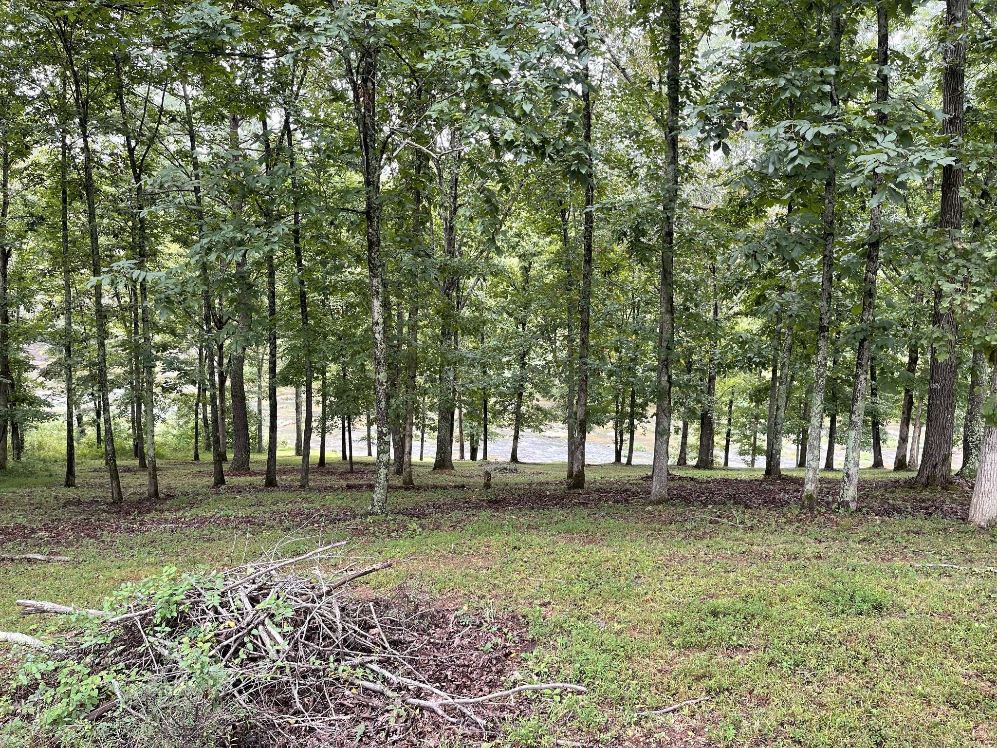 0 Cove Ln, Lawrenceburg, TN 38464