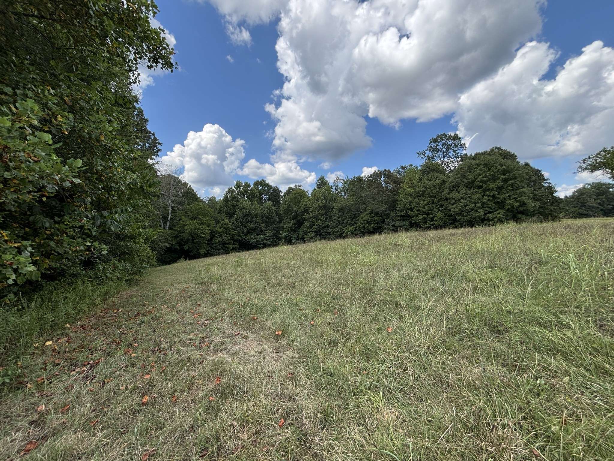 0 Highway 7, Lyles, TN 37098