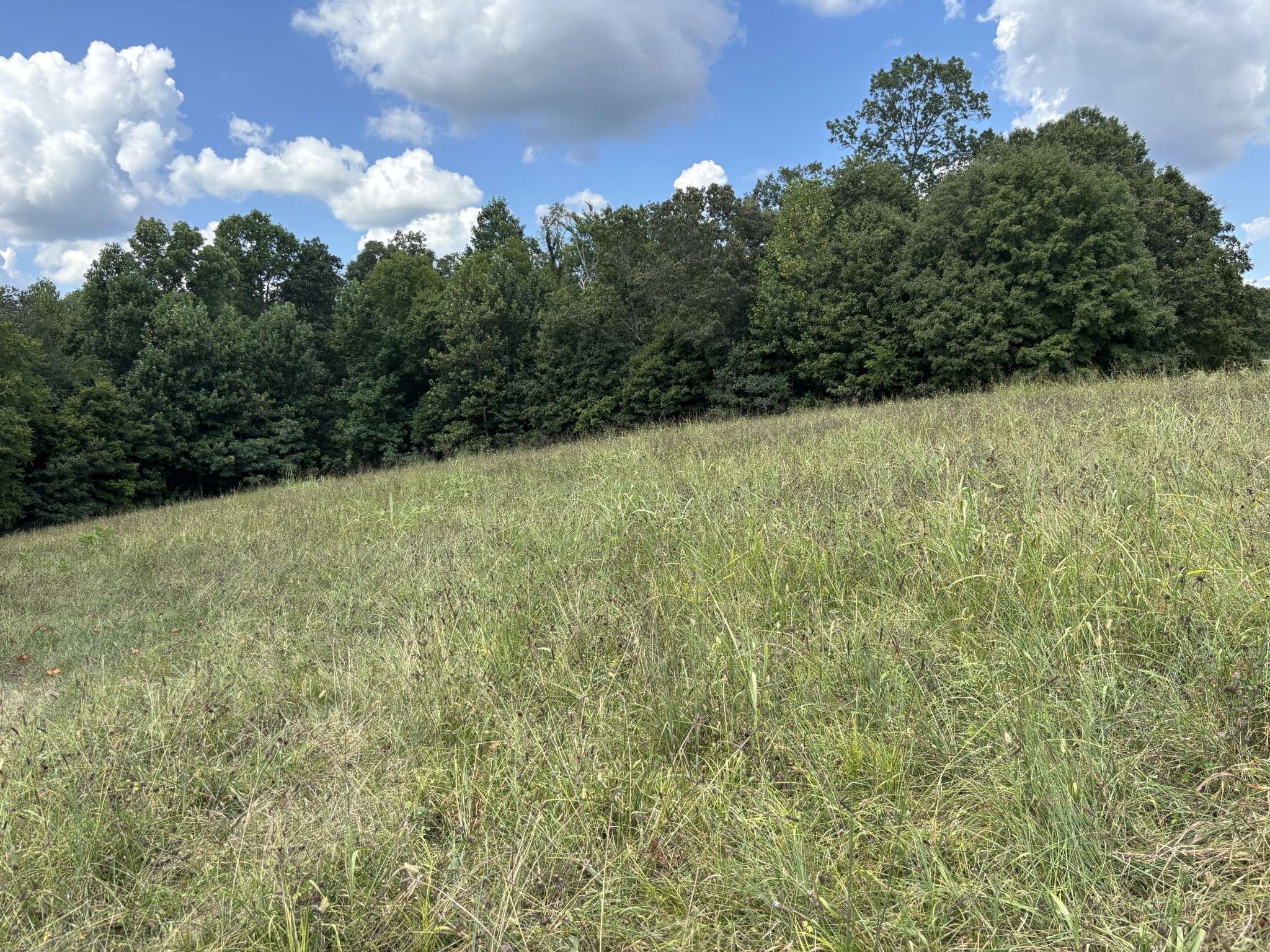 0 Highway 7, Lyles, TN 37098
