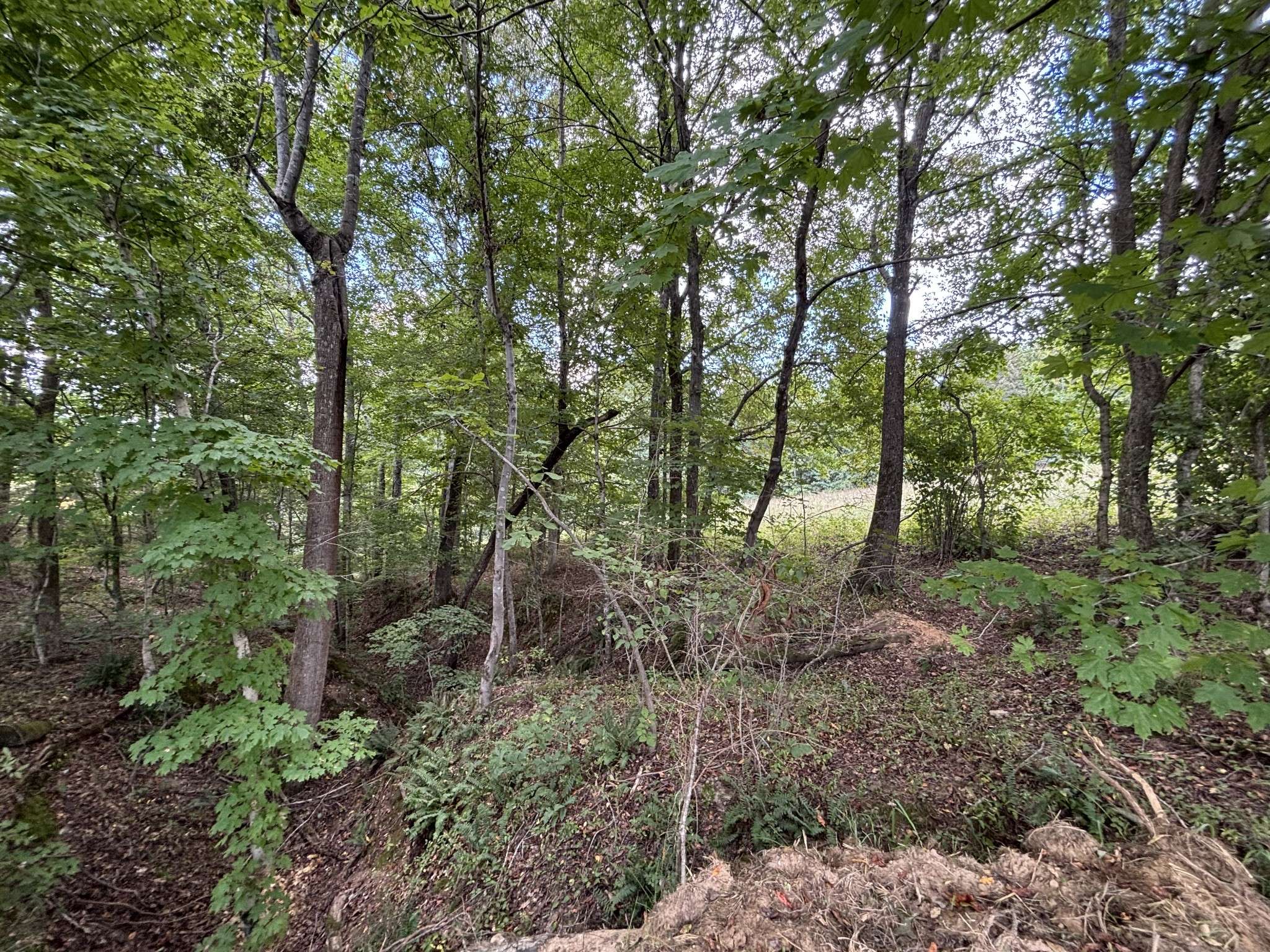 0 Highway 7, Lyles, TN 37098