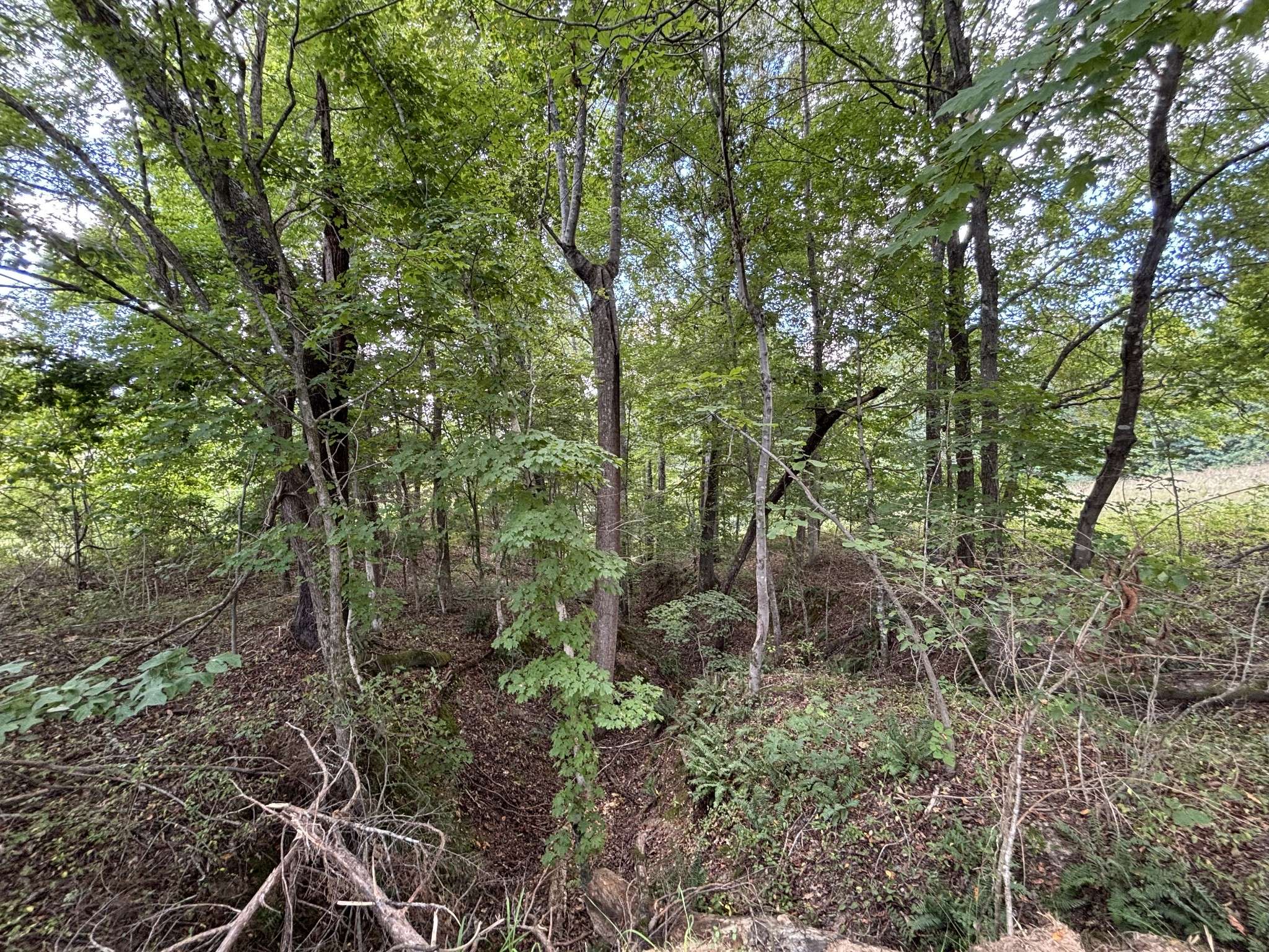 0 Highway 7, Lyles, TN 37098