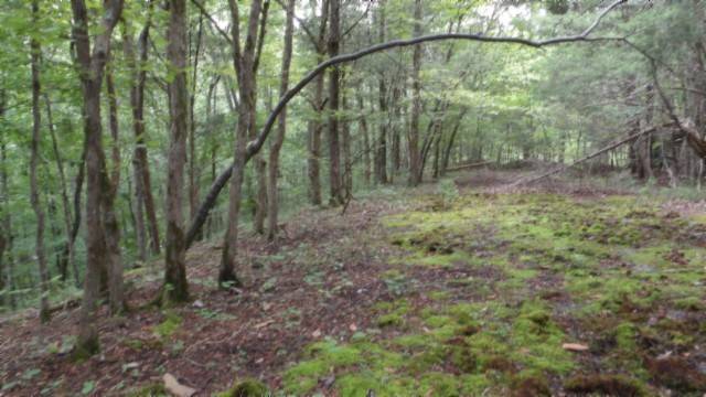 0 Old Hwy 53 S, Celina, TN 38551