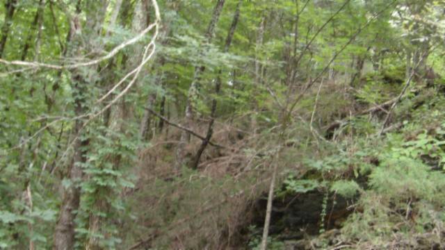 0 Old Hwy 53 S, Celina, TN 38551
