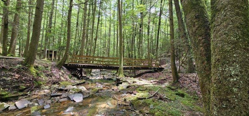 0 Oak Leaf Lane, Dunlap, TN 37327