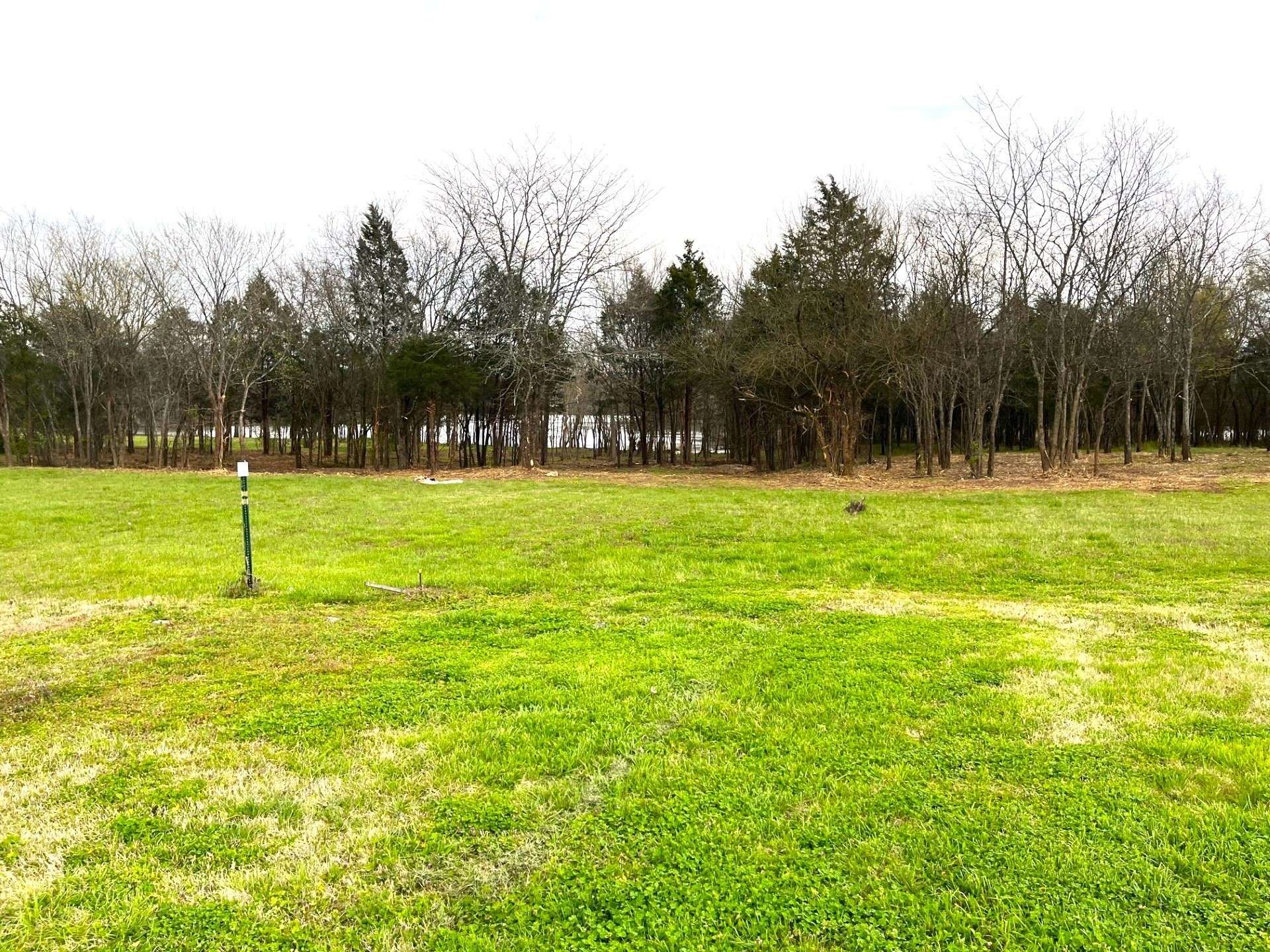 302 Stonebrook Pt, Lebanon, TN 37087