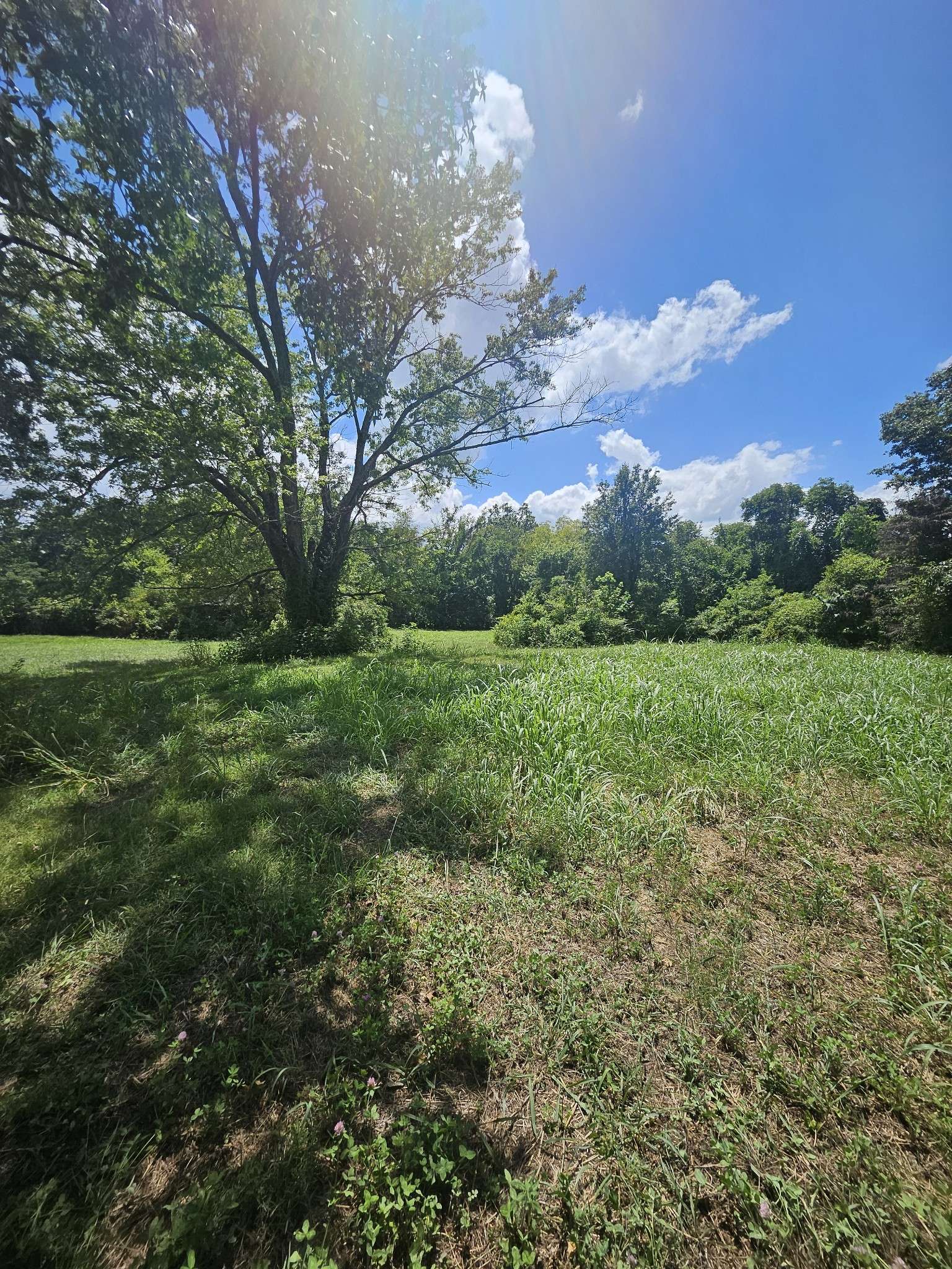 264 Joe B Jackson Pkwy, Murfreesboro, TN 37127