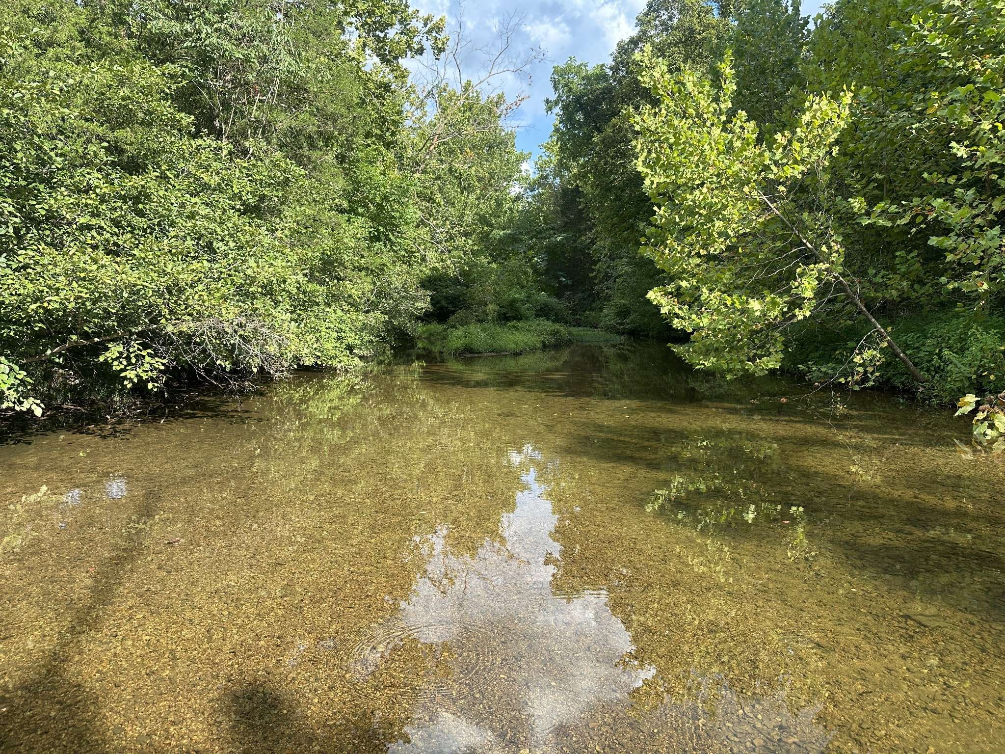 8884 Highway 412 W, Linden, TN 37096