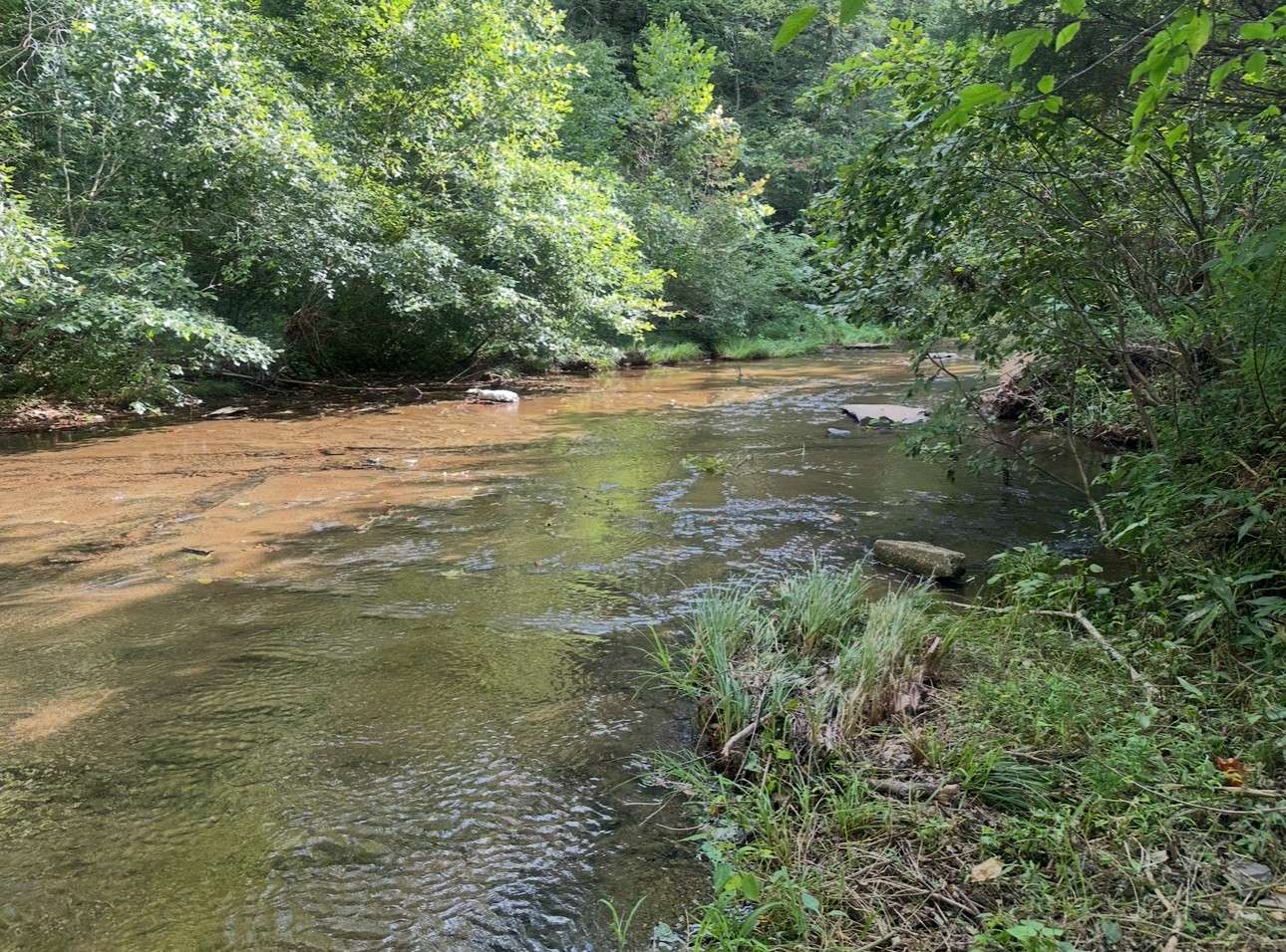 8884 Highway 412 W, Linden, TN 37096